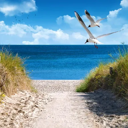 2 House B 55 Σπίτι διακοπών *